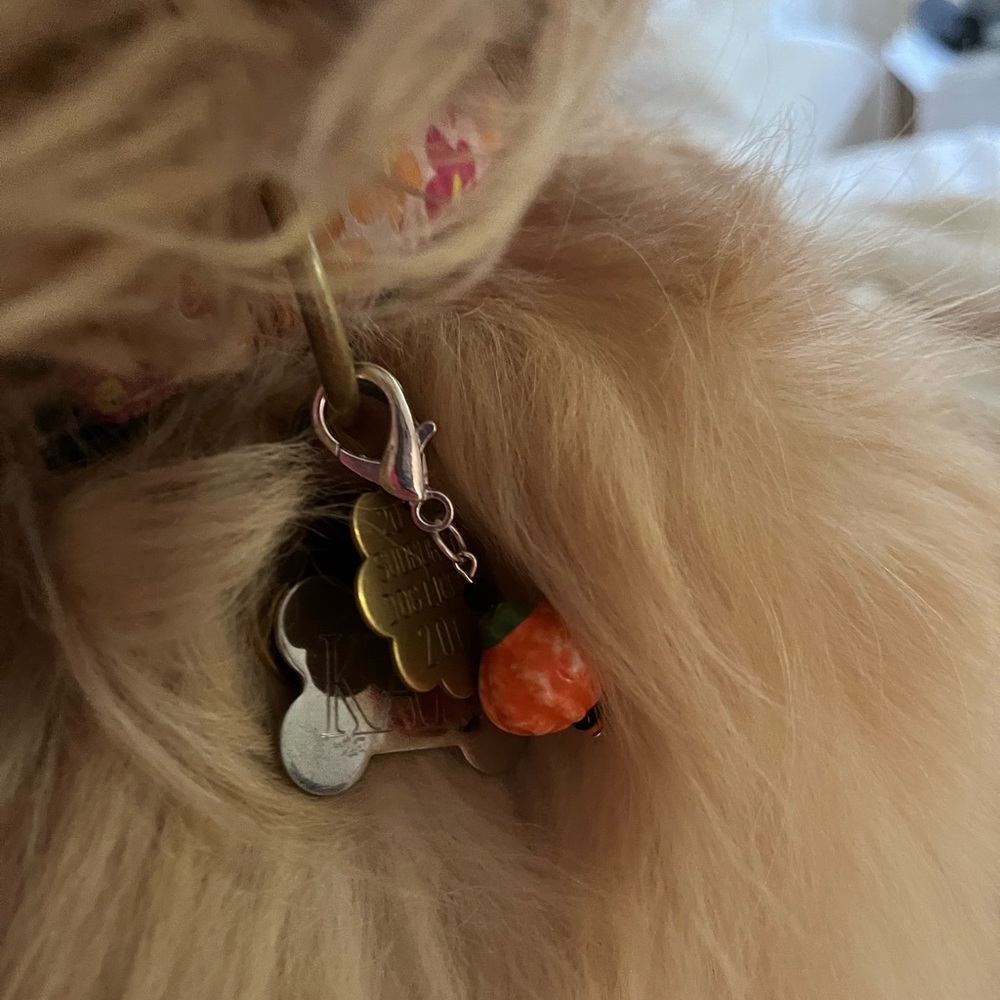 🎃Fall/Halloween pet charm